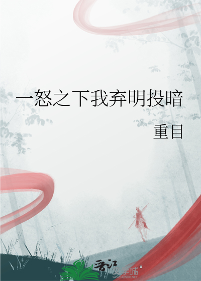 一怒之下我弃明投暗