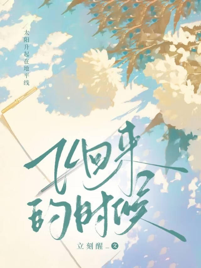 飞回来的时候