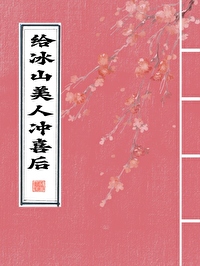 冰山美人攻略手册